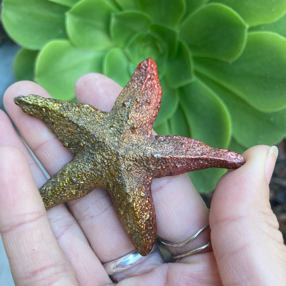 Beautiful bismuth starfish